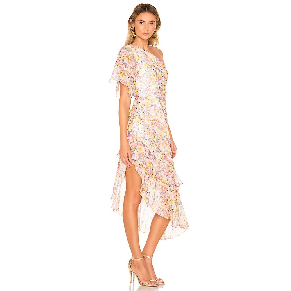 Amur | Clayton Dress in Wild Meadow